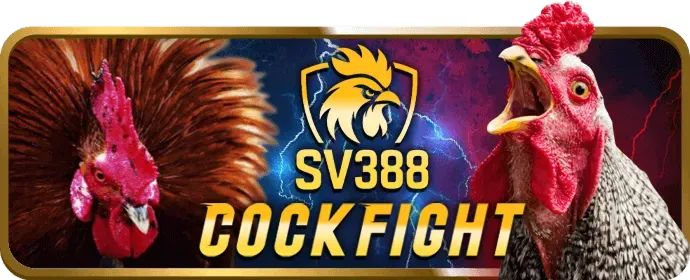 Hoàn trả thể thao và casino 666win